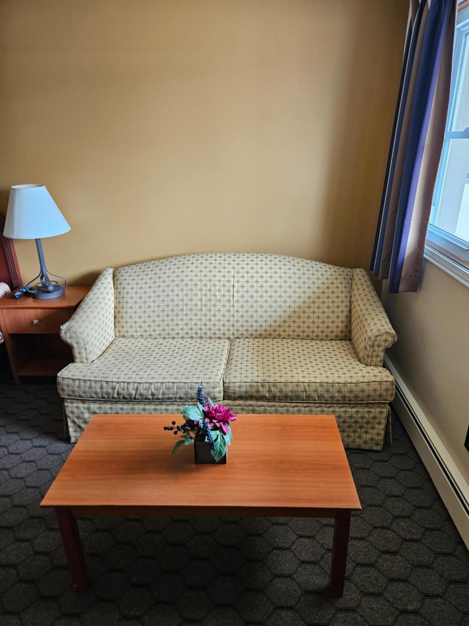 Forest Plaza Motel Mount Forest エクステリア 写真